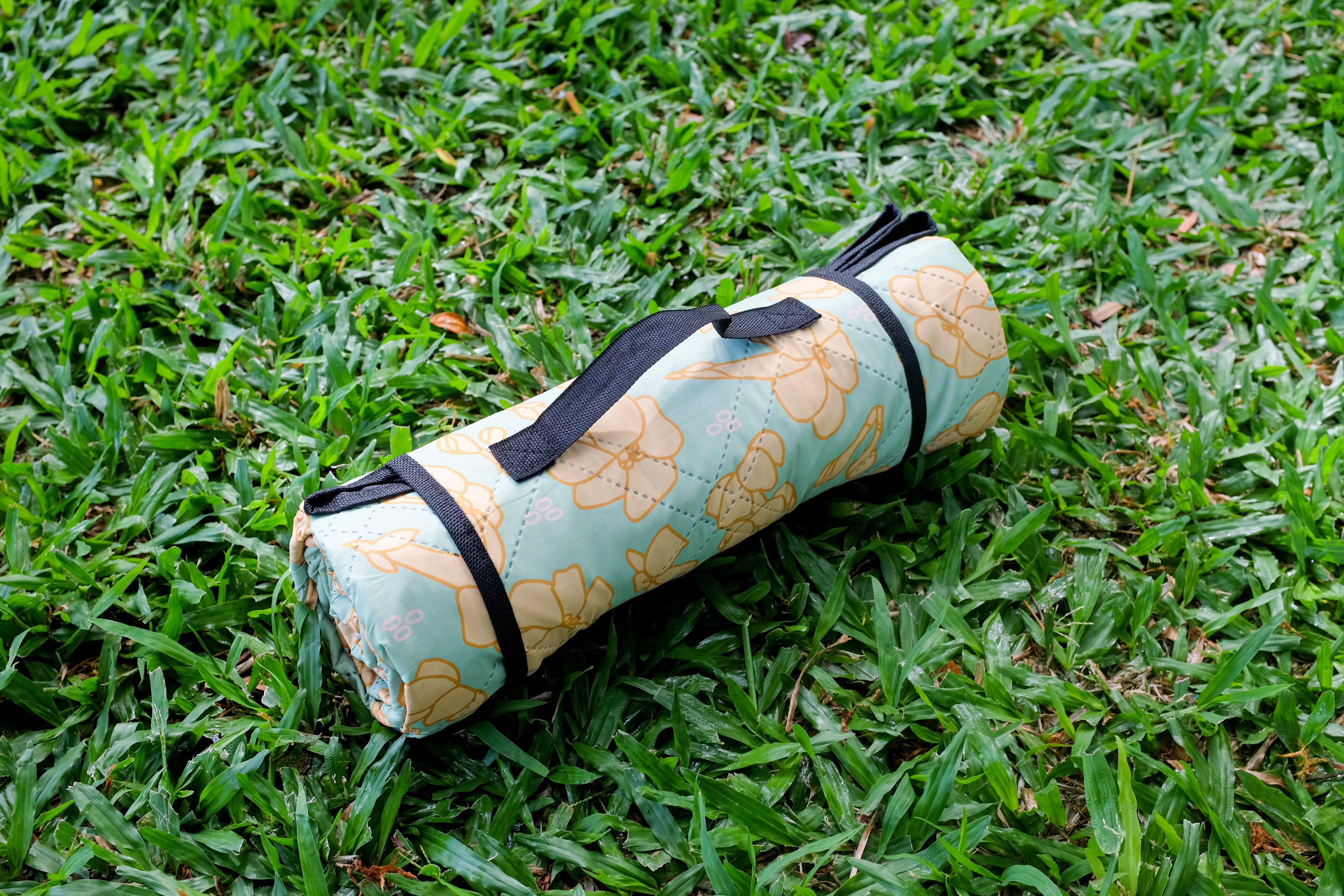 Izzy and Luke x Jana Lam Mint+Honey Picnic Blanket